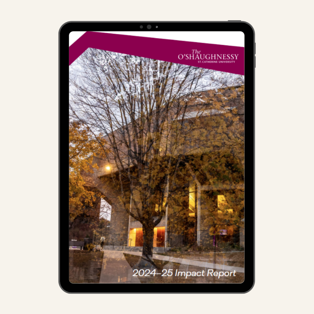 2024-25 impact report